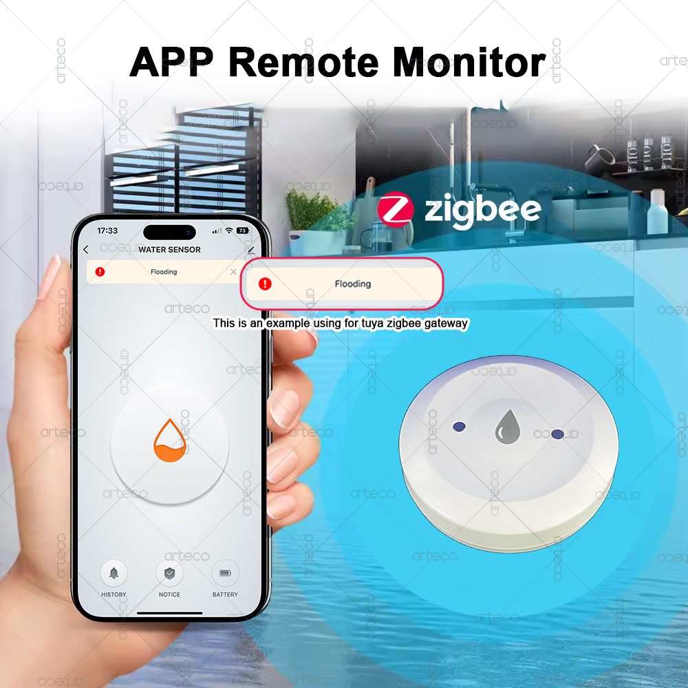 Smart Zigbee Water Sensor Floo - Smart Home Gateway review and price