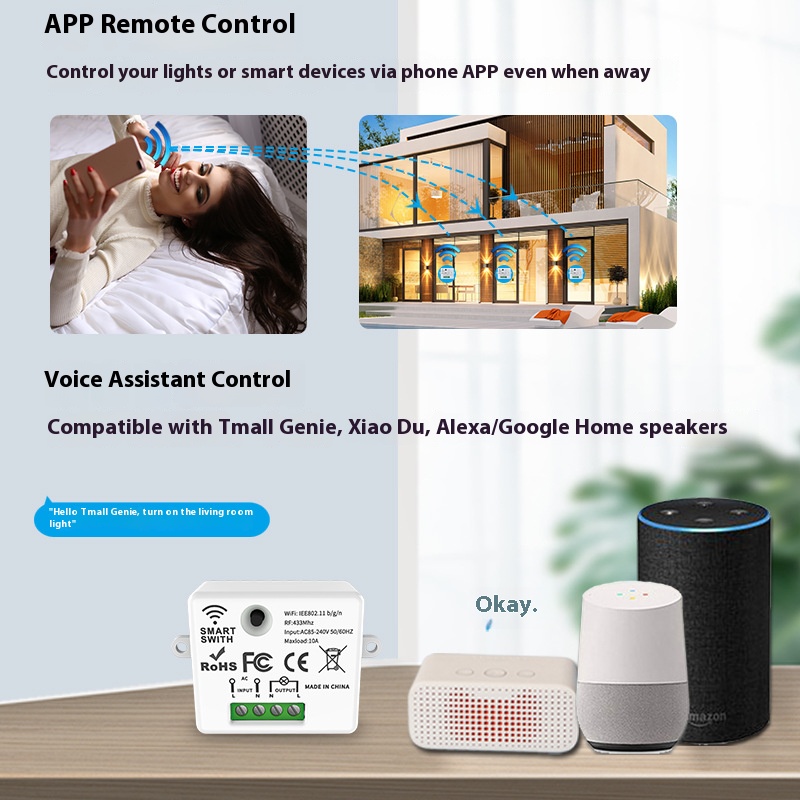 The Tuya Smart Switch-Off Devi - Smart Home Voice Control review and price