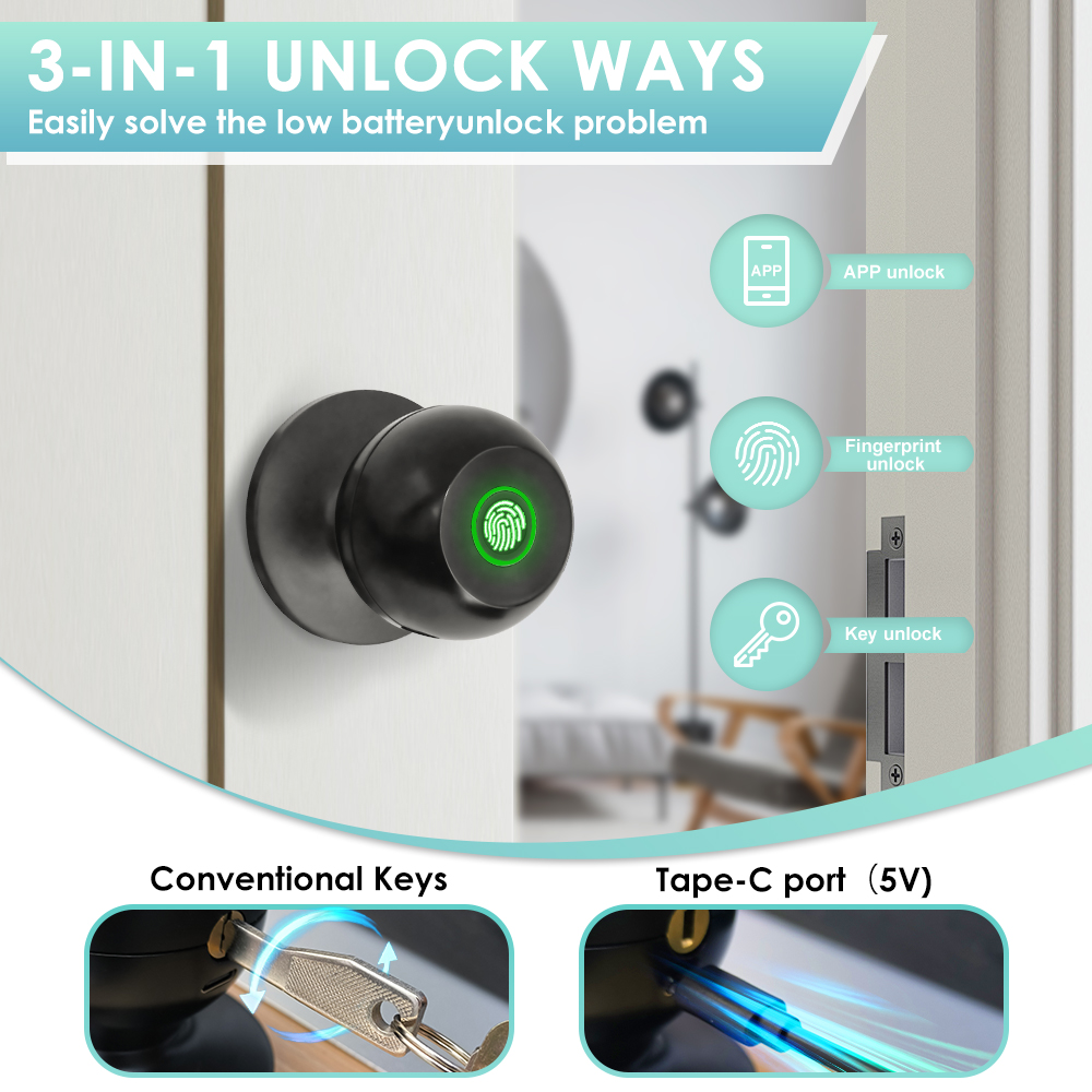 Tuya Electronic Door Lock Smar - Smart Home Keyestudio review and price