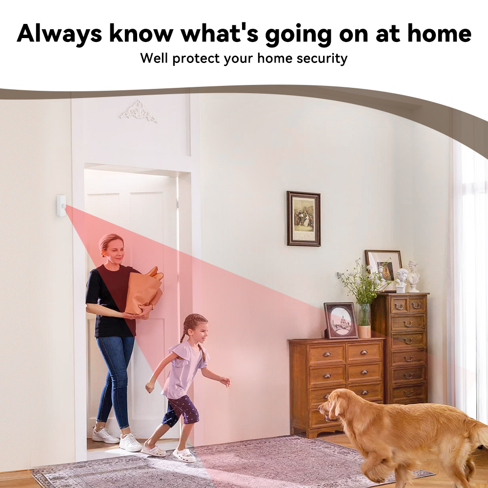 Tuya Smart PIR Motion Sensor S - Smart Home Monitoring review and price