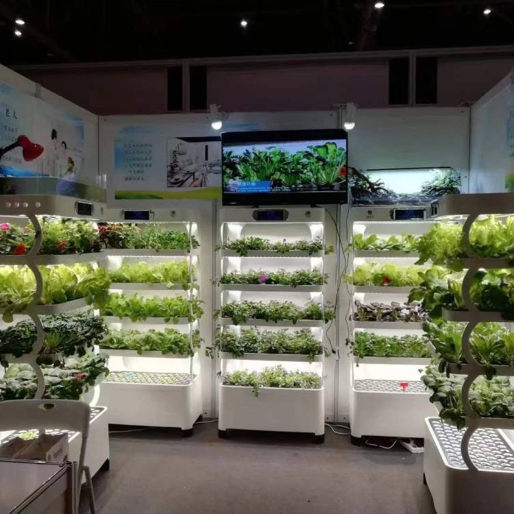 Intelligent Hydroponic Growing - Smart Home System review and price