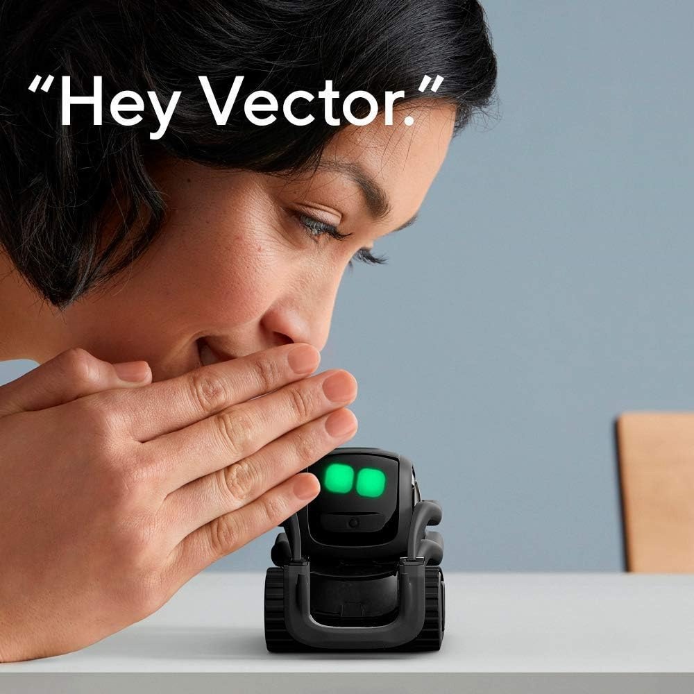 AI ChatGPT 2.0 Connected Robot - Smart Home Control review and price