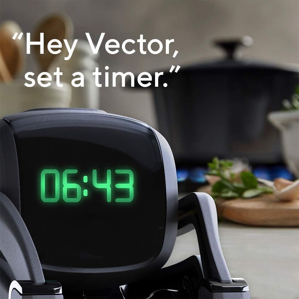 AI ChatGPT 2.0 Connected Robot - Smart Home Control review and price