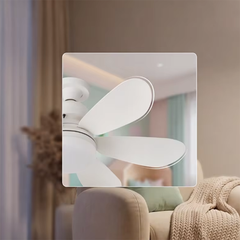 40W E27 LED Ceiling Fan Light  - Smart Home Ventilation review and price