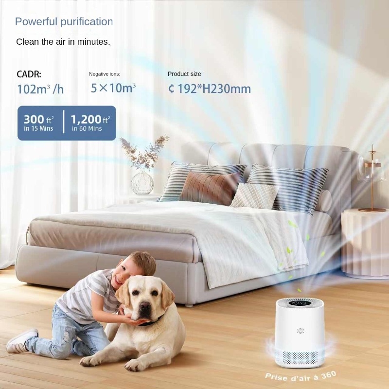 Smart Home Air Purifier with A - Smart Home Control review and price
